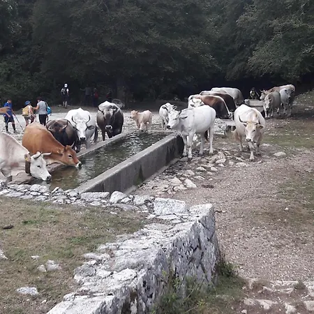 Casa Di Sara Appartement Pescasseroli