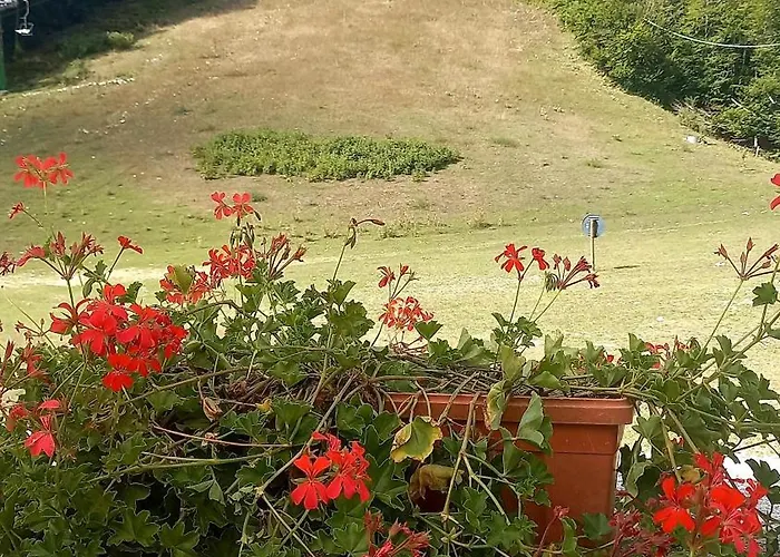 Casa Di Sara Апартаменты *