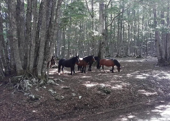 Апартаменты Casa Di Sara *