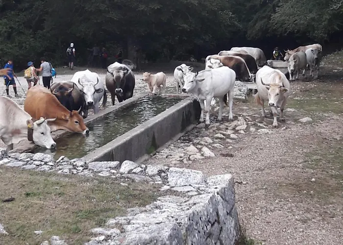 Casa Di Sara Апартаменты Пескассероли