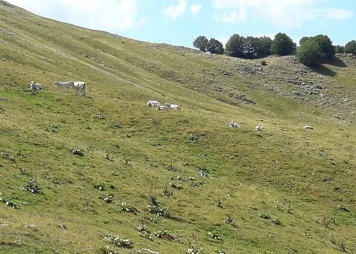 Апартаменты Casa Di Sara